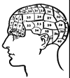 Phrenology Head